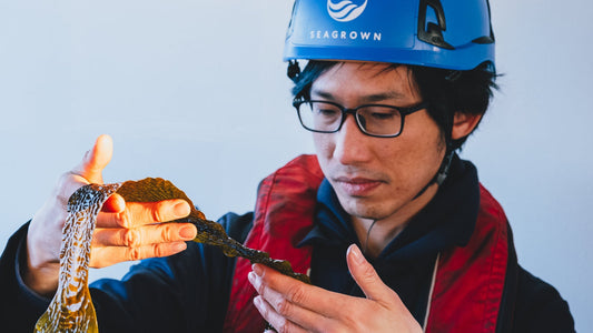 A Day in the Life of Hong Chin, SeaGrown's Senior Scientific Officer