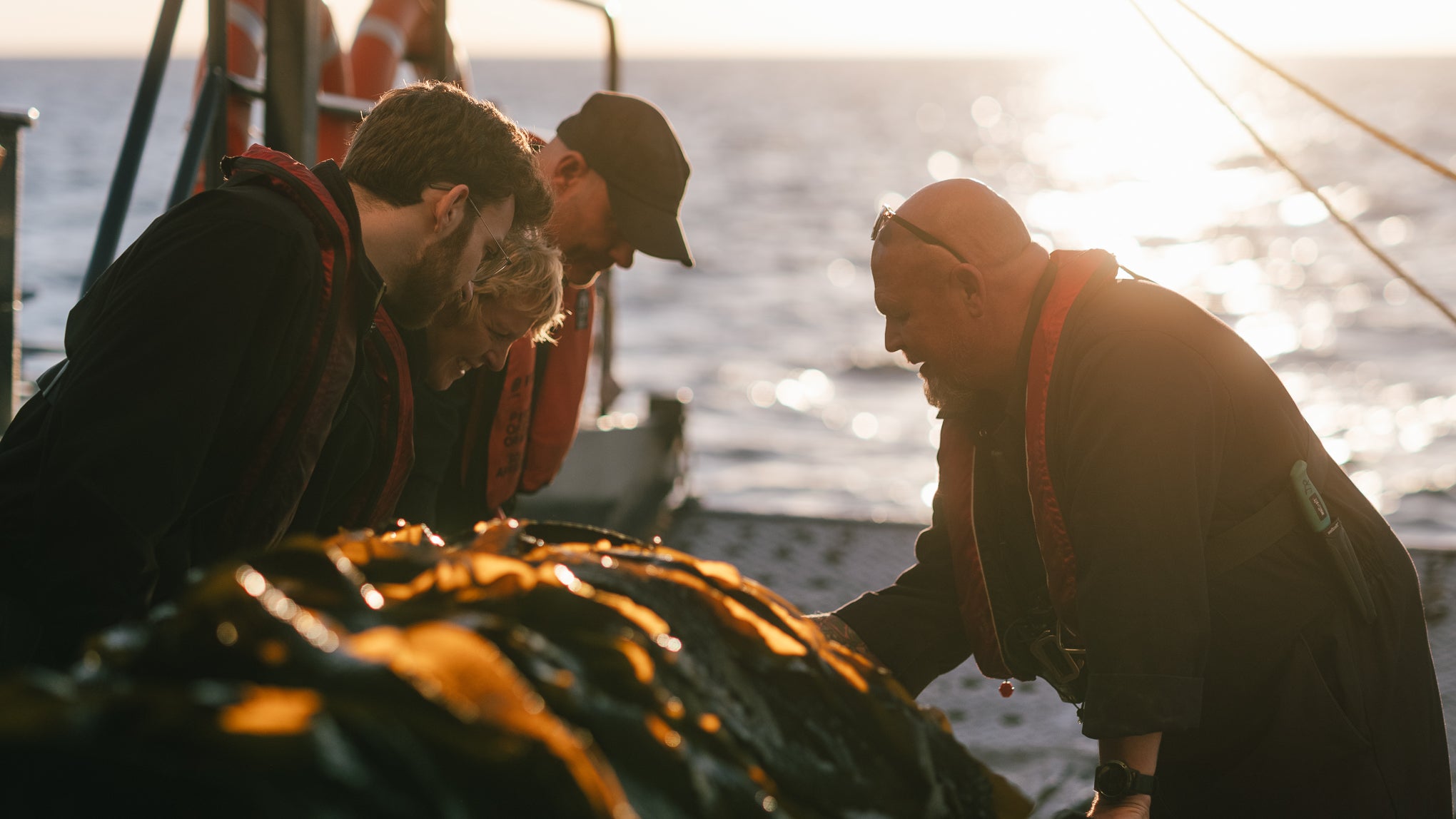 People on a boat examining seaweed closely with water and sky in the background
