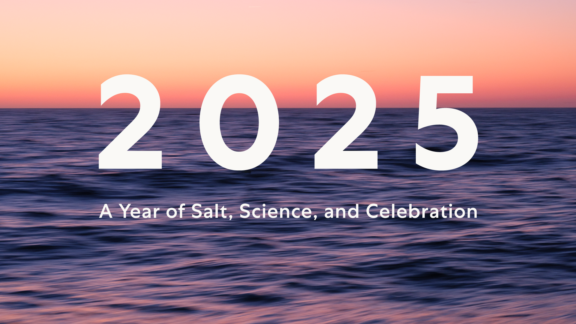 2025 – A Year of Salt, Science, and Celebration