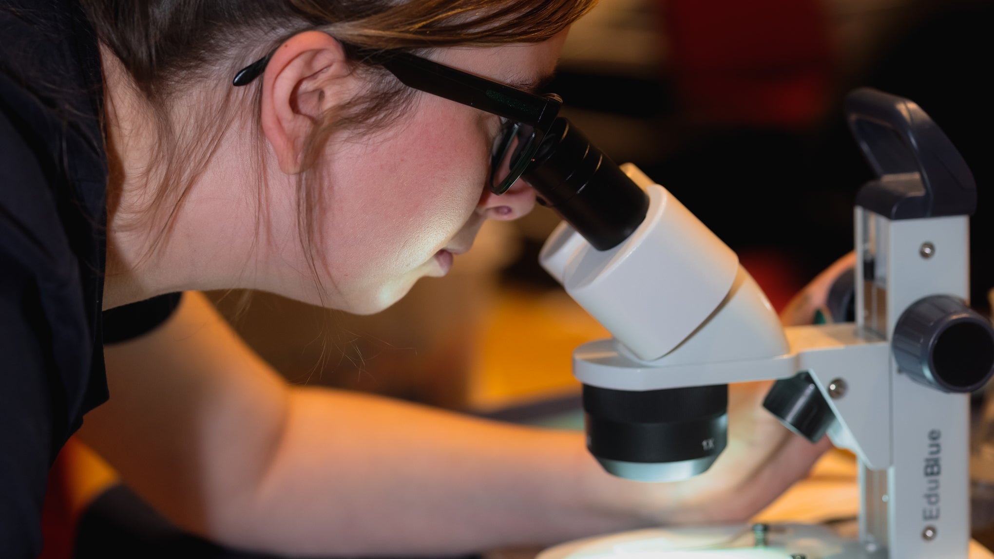 Inspiring the Next Wave of Innovators at Scarborough STEM Week
