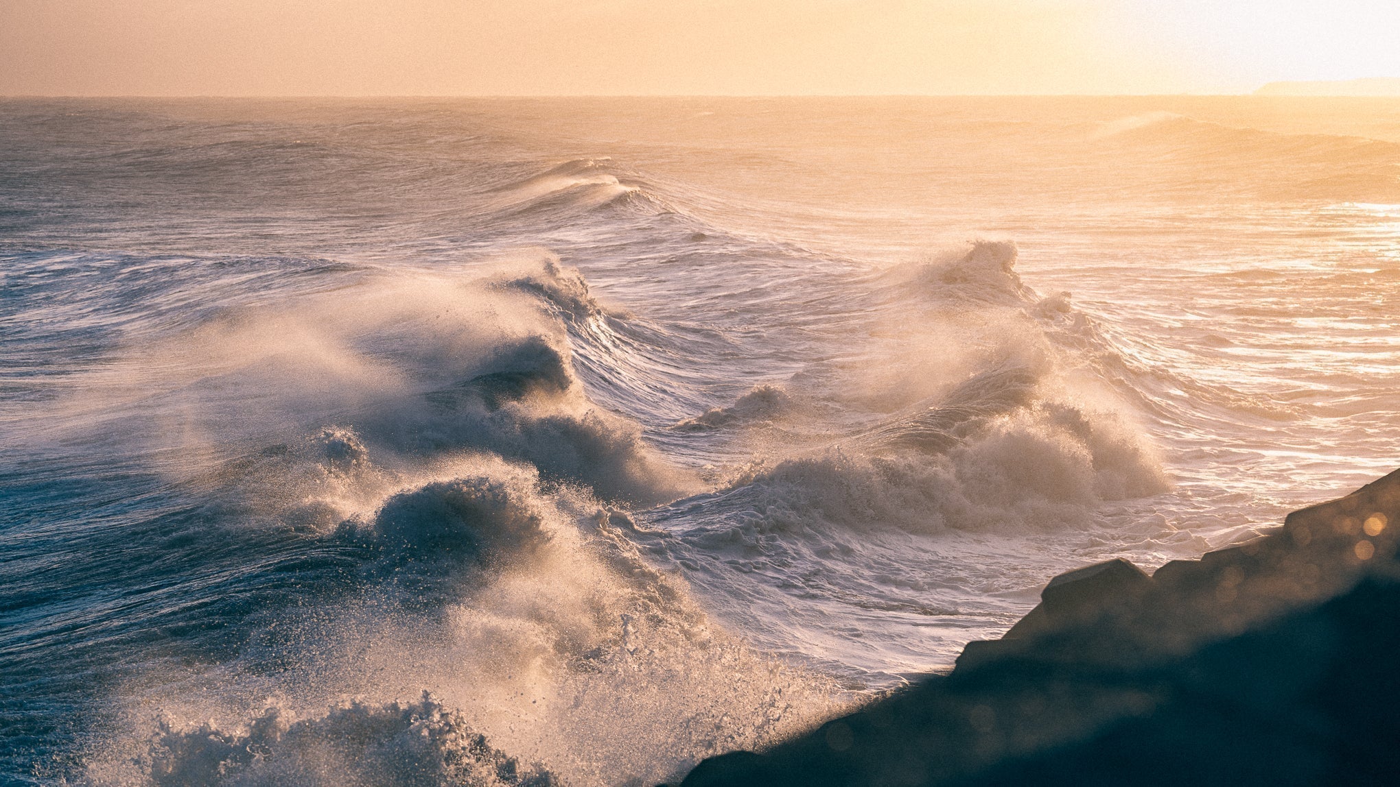 Wild Hearts, Warm Harbours: The Art of the Coastal Night In