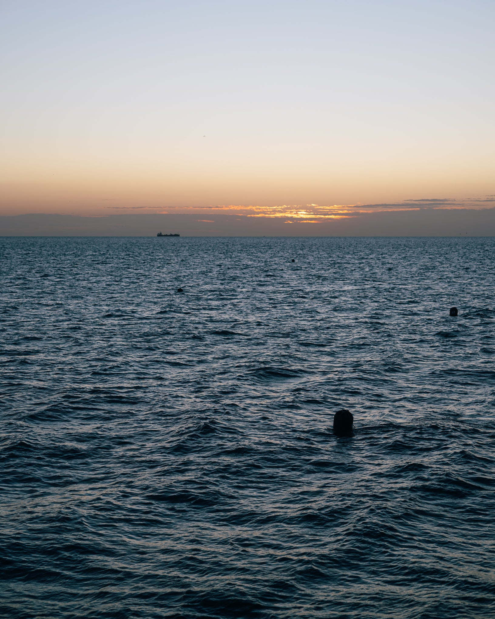 SeaGrown_25-08_GFXS7315.jpg