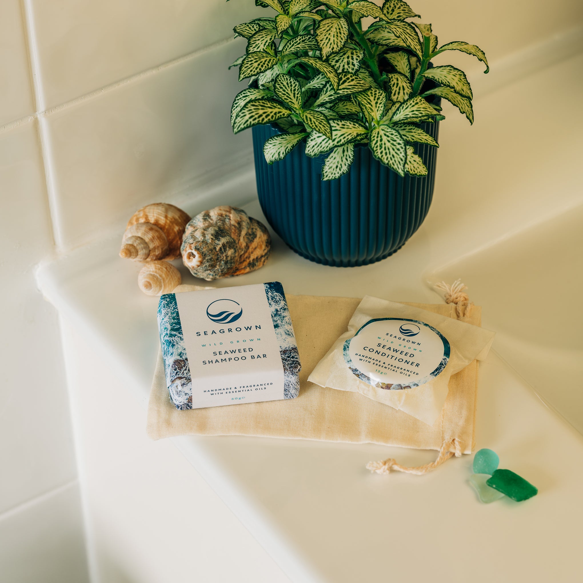 Seaweed Haircare