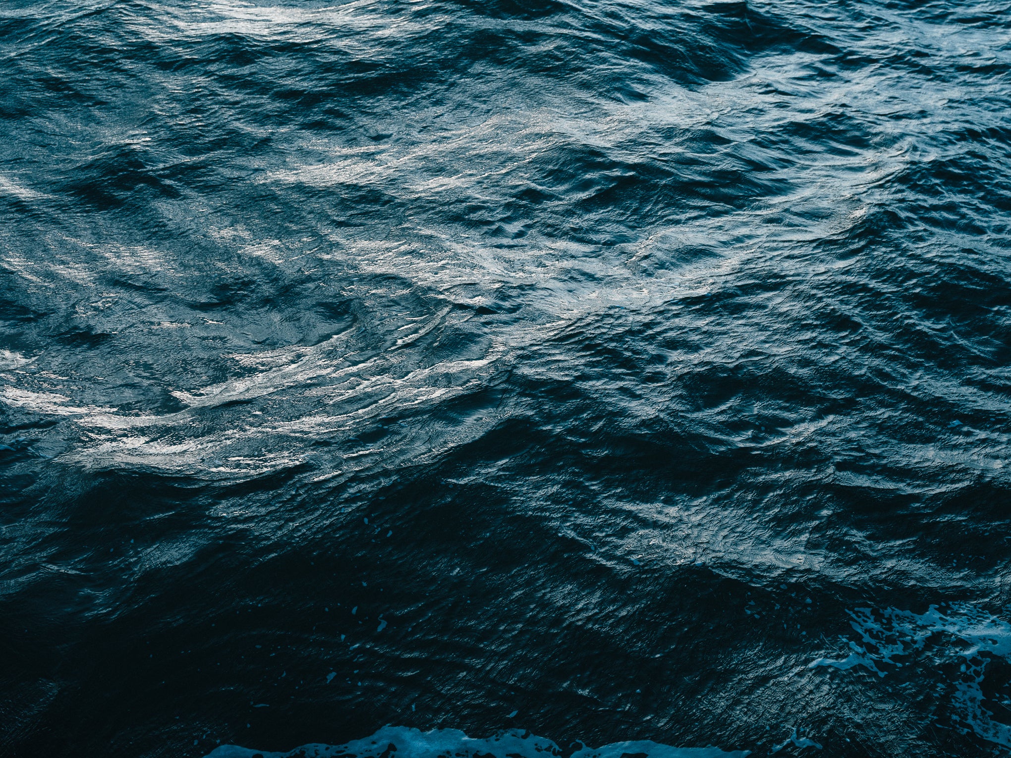 SeaGrown_26-02_GFXS8531.jpg