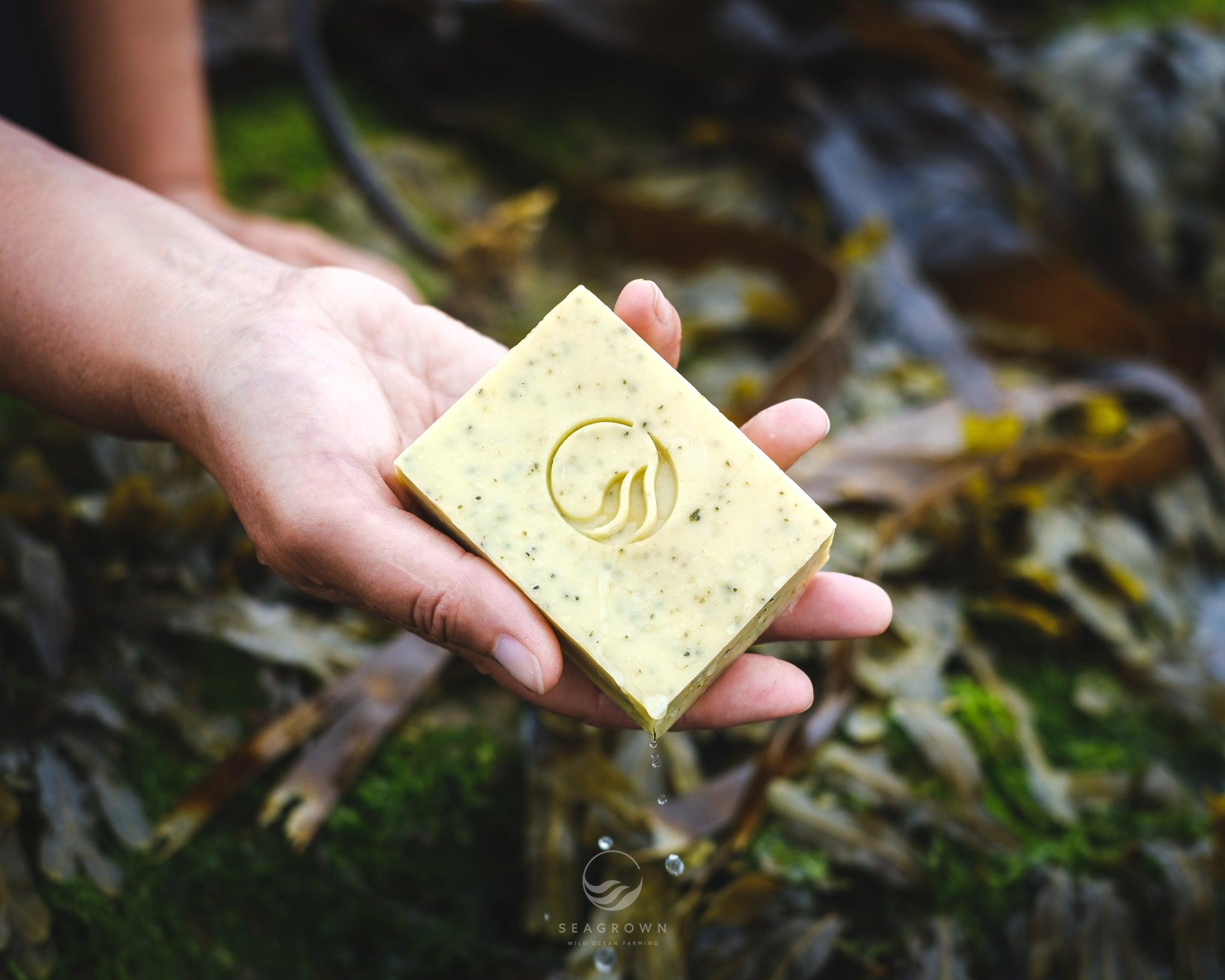 Seaweed Soap - SeaGrown